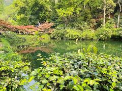-岳麓山风景名胜区