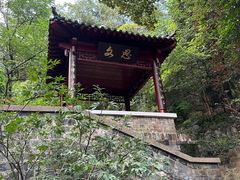 -北极阁公园