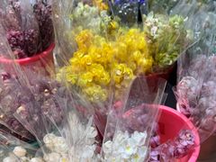 -循礼门鲜花花市(武汉循礼门店)