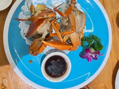 香煎蟹-鑫阿强海鲜大排档·老厦门特色菜(中山路店)