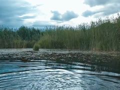-泸沽湖里格半岛