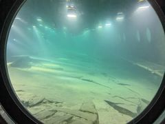 -白鹤梁水下博物馆