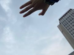 -天津图书馆(复康路馆)