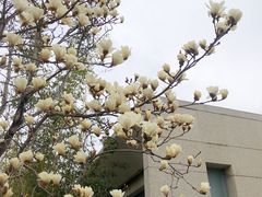 -春晖园度假酒店温泉