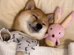 -必胜客(张掖西大街店)