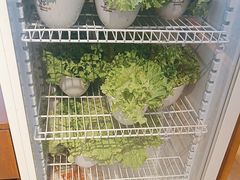 -安又胖韩国烤肉