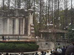 -音乐台