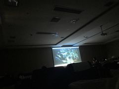 -醉翁水城
