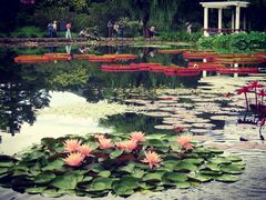 -国家植物园南园