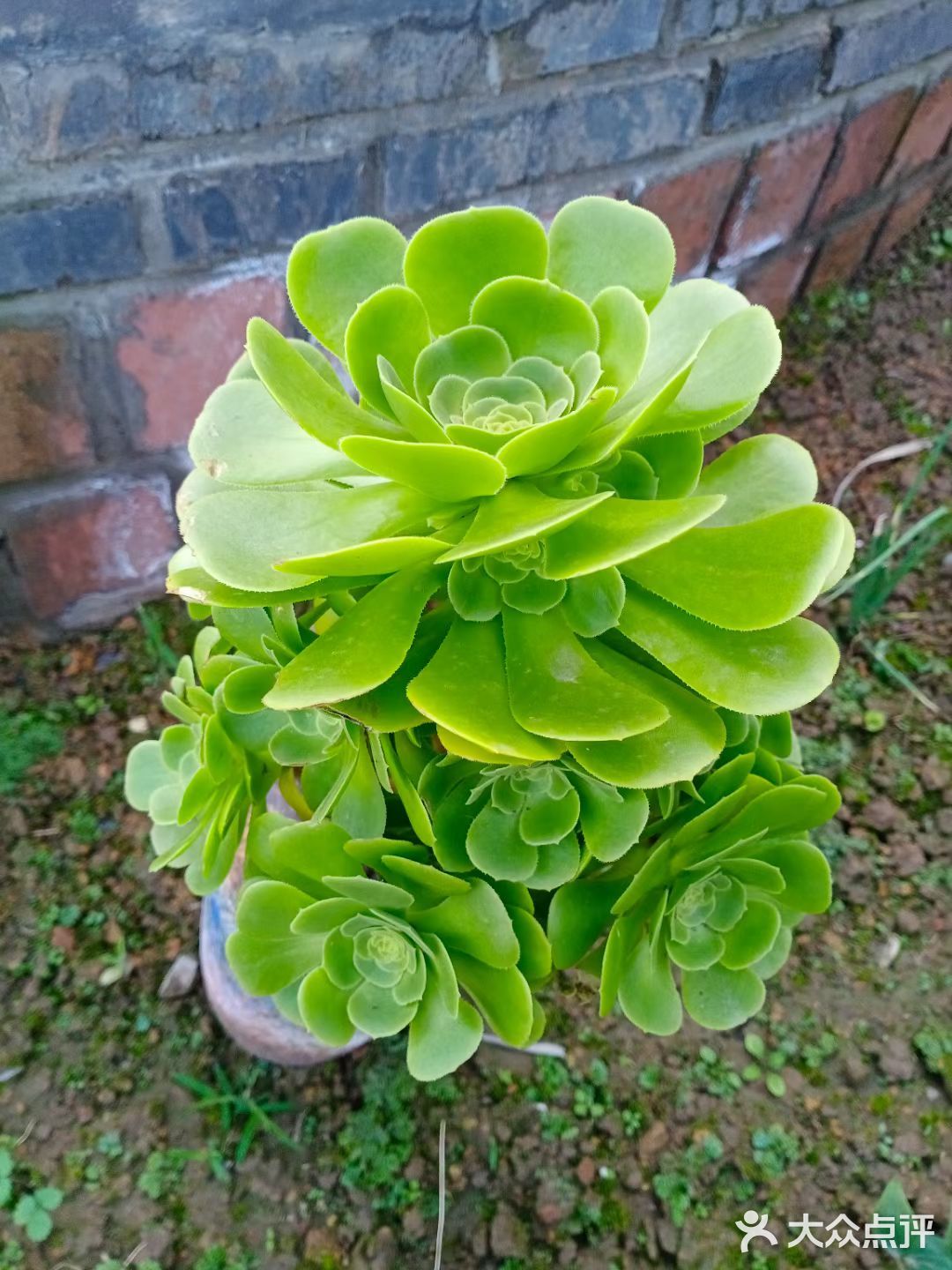 精灵山谷半日游