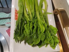 功夫青笋片-晓宇重庆火锅(赛格国际购物中心店)