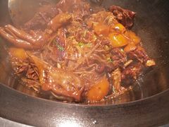 -挂雪铁锅炖大鹅