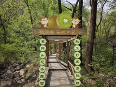 -大岭沟猕猴桃谷风景区
