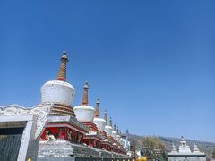 -塔尔寺