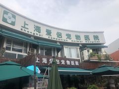 -爱侣宠医·鹦鹉专科·小型哺乳类·异宠专科(灵石路店)