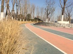 -灞河西岸滨河公园