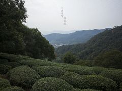 -西湖风景区十里琅珰-五云山