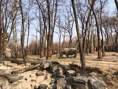 -北京野生动物园