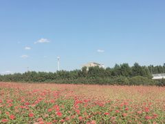 -长春世界雕塑园冰雪艺术天地