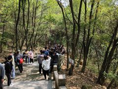 -灵岩山风景区