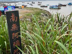 -北岐滩涂