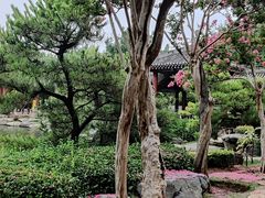 -中国唐苑