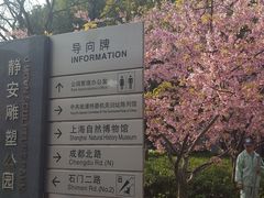 -自然博物馆(地铁站)