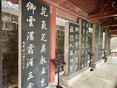 -碑林公园