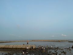 -南汇嘴观海公园