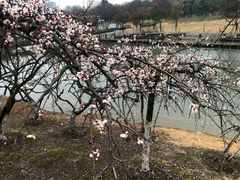 景点-白塘生态植物园