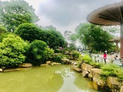 -铁山坪森林公园