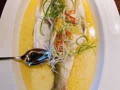 -杭州桐庐康莱德酒店西餐厅-舍