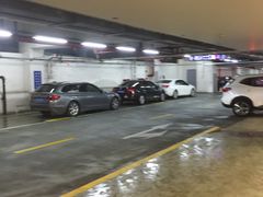 -上海浦东国际机场T1航站楼-P1停车场