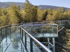 -陶祖圣境风景区