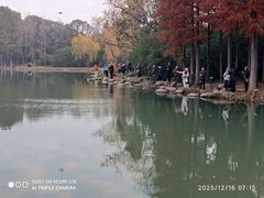 -长广溪湿地公园