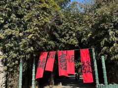 -西苑公园