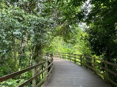-野象谷景区