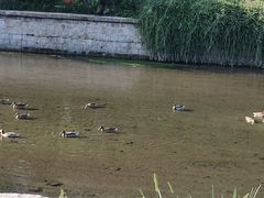 -元大都城垣遗址公园