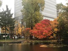 -北海道厅旧本厅舍(旧本庁舎)