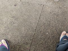 -广州白天鹅宾馆