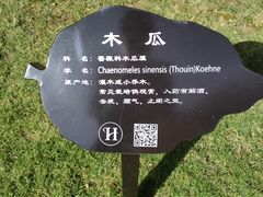 -上海虹桥迎宾馆