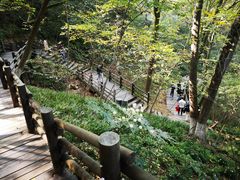 -天目湖山水园
