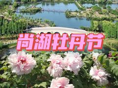 -尚湖风景区