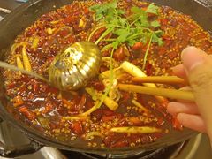 -鸿顺老铁锅美蛙鱼府(解放碑店)