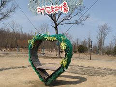 -黄海国家森林公园