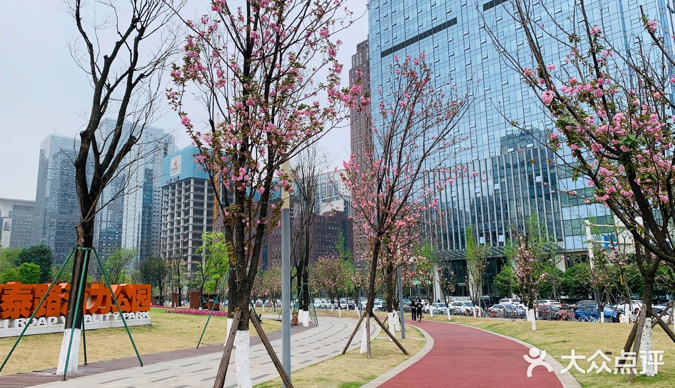 春日踏青好去处-天府四街