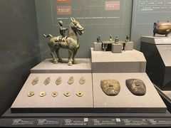 -广西壮族自治区博物馆