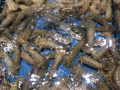 -潮庭·大连海鲜·炭火烧烤·扇贝王(大连店)
