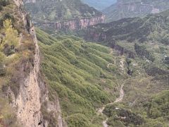 -王莽岭风景区