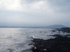 -涉地可支